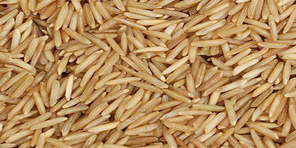 Pakistani rice, grain and agricultural commodities exported by Pak Agro Foods