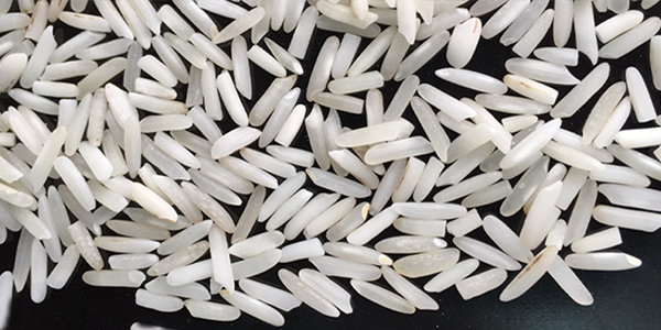 PK-386 long grain white rice from Pakistan supplied by Pak Agro Foods