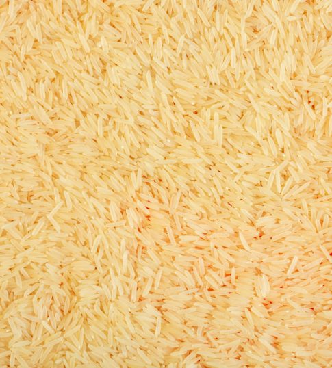 Rice paddy field in Pakistan, the source of Pak Agro Foods grain